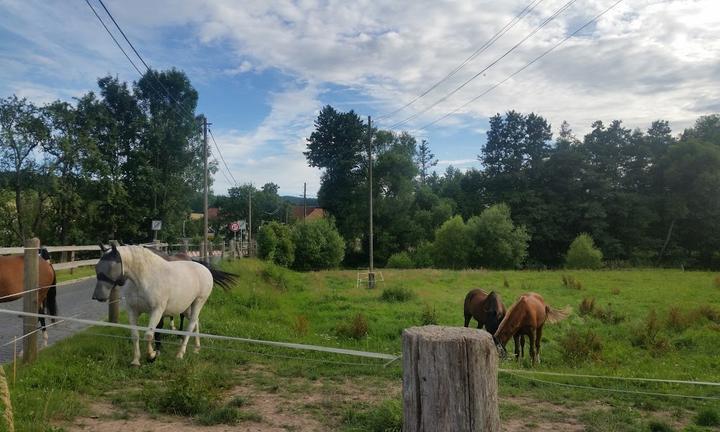 Gasthof Zapfengrund